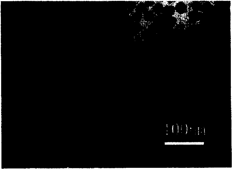 Preparation process of monodispersive silica sol