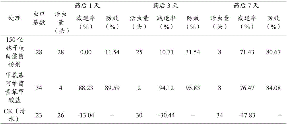 Application and method for controlling asparagus prodenia litura by utilizing beauveria bassiana