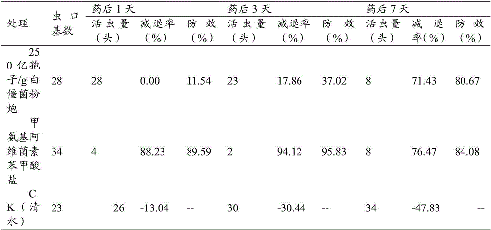 Application and method for controlling asparagus prodenia litura by utilizing beauveria bassiana