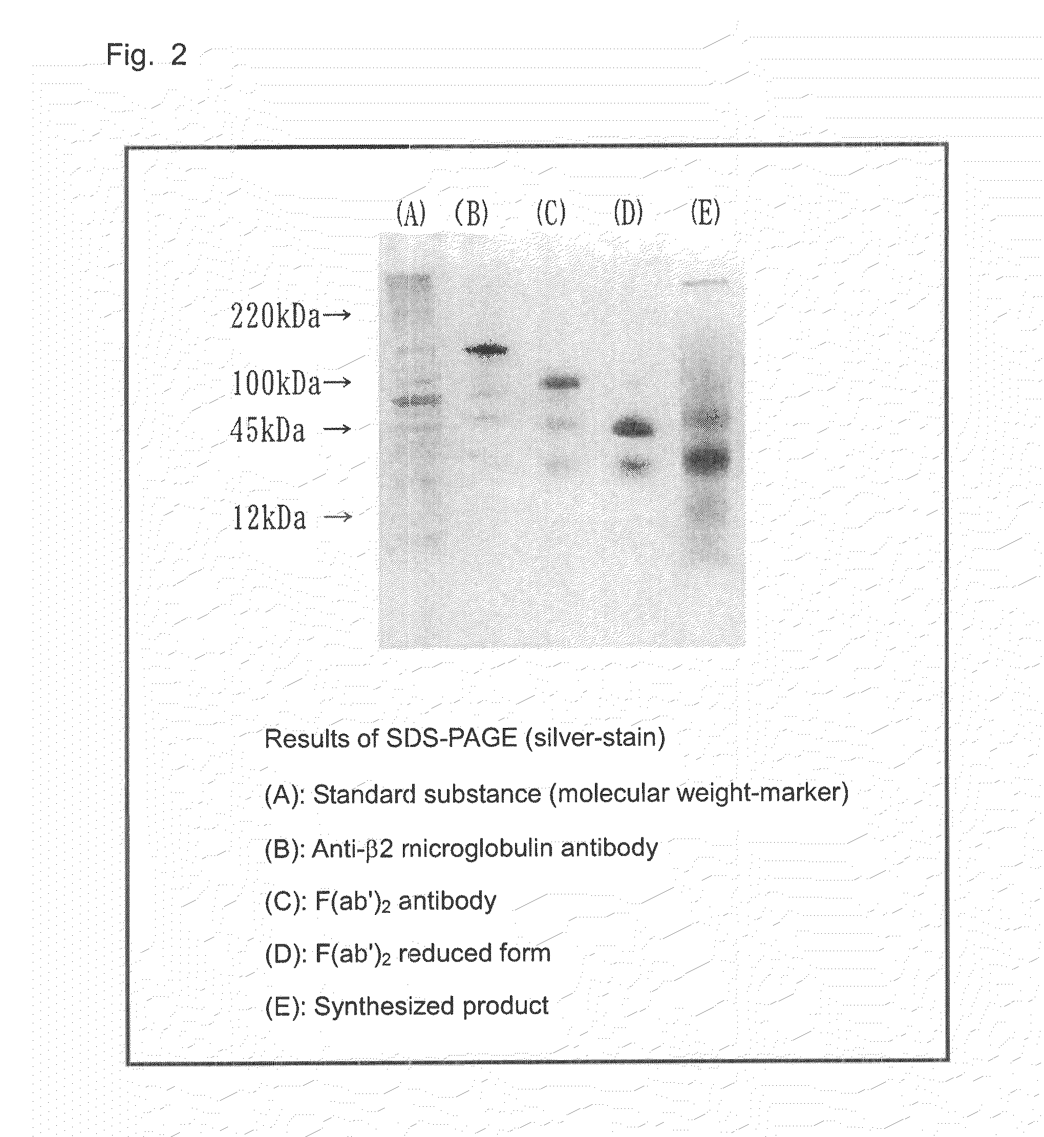 Drug for suppressing pathogen occurring in vivo