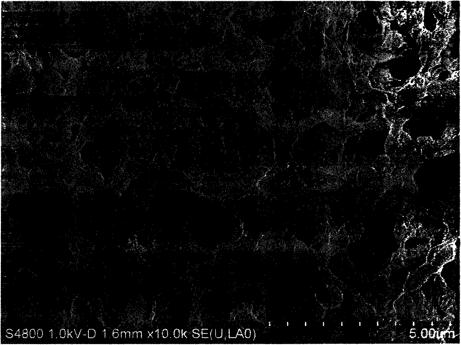 High-liquid absorbing rate micro-nano structure polymer electrolyte membrane and preparation method thereof