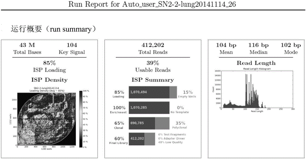 Construction method of single-tube and high-flux sequencing library