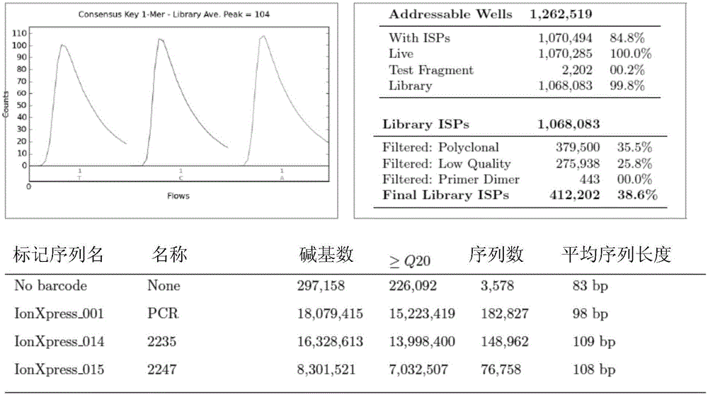 Construction method of single-tube and high-flux sequencing library