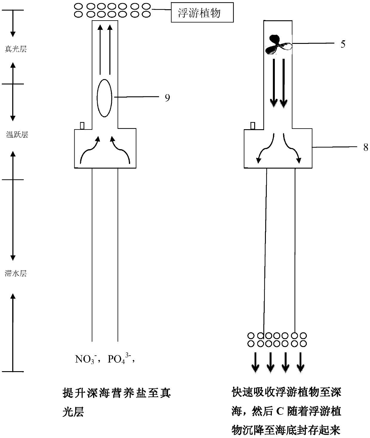 Method for enhancing ocean carbon sink and artificial flow building device