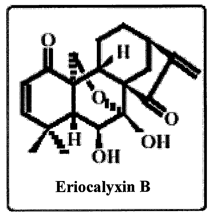 Application of Eriocalyxin B in the Manufacture of Medicaments For Treating Leukemia