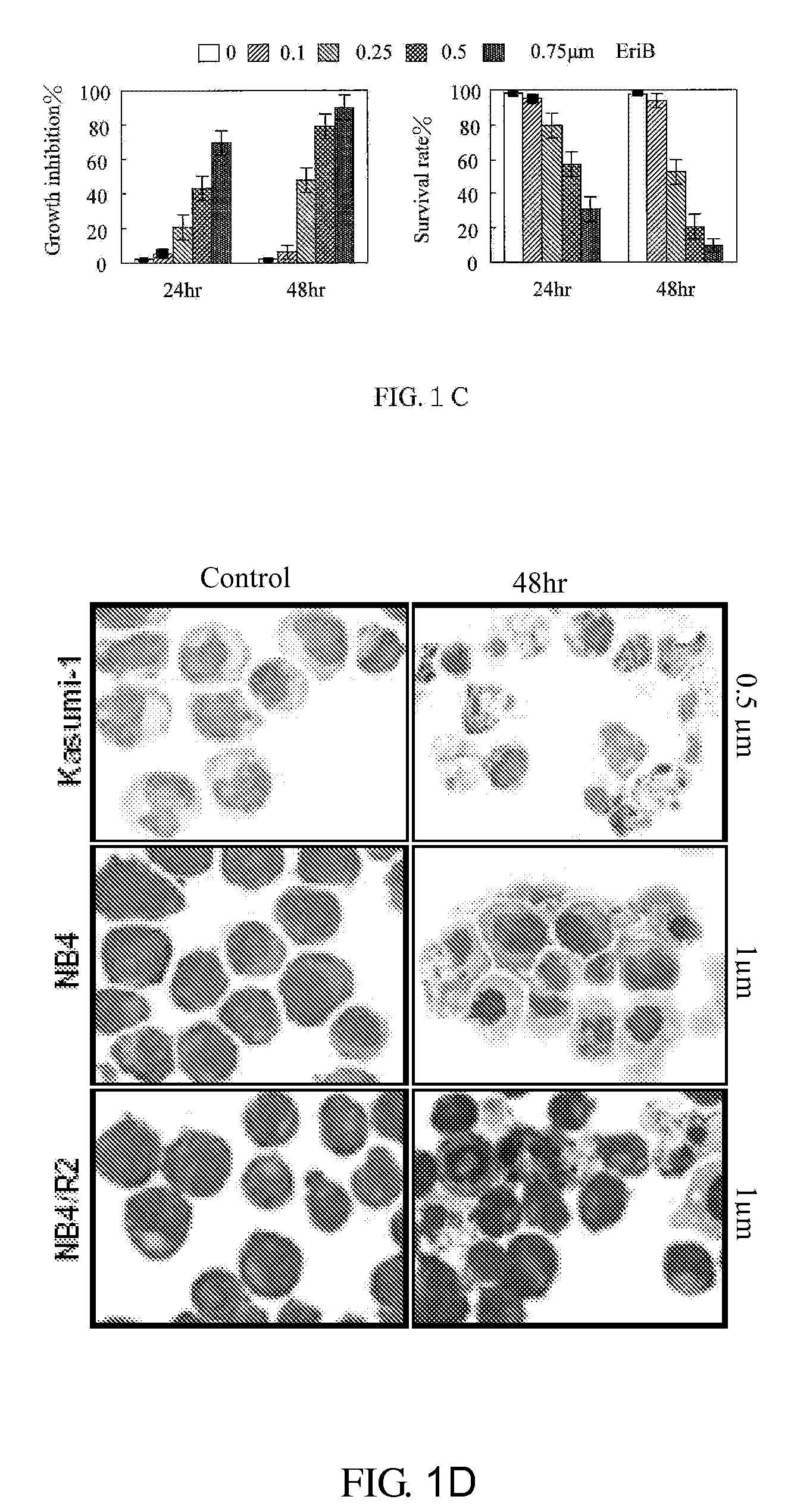 Application of Eriocalyxin B in the Manufacture of Medicaments For Treating Leukemia