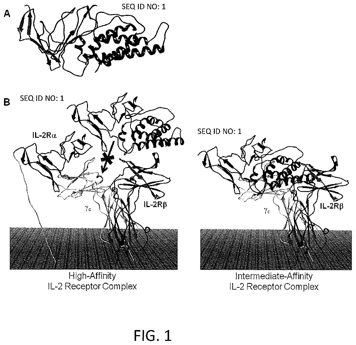 Compositions and Methods for Cancer Immunotherapy