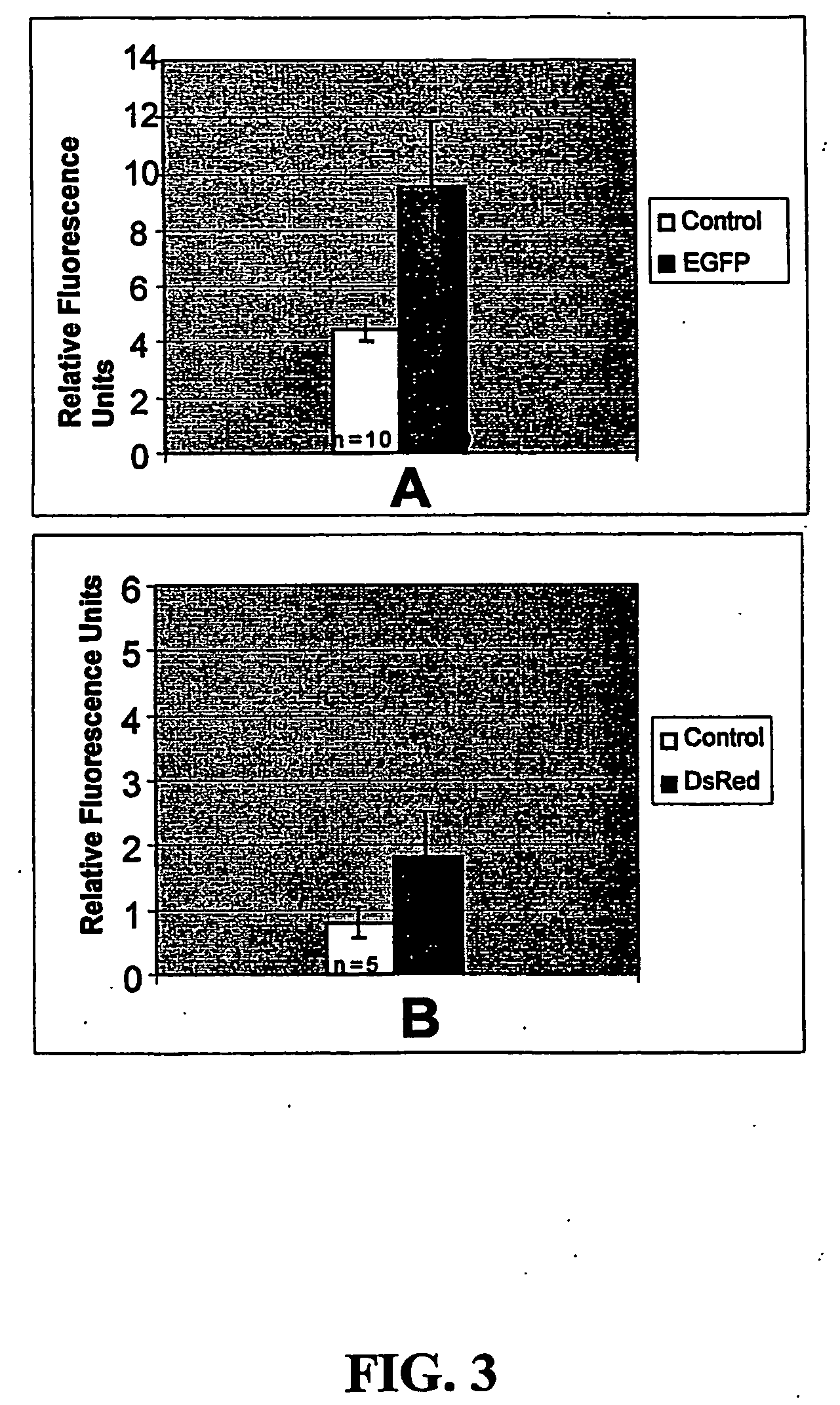 Nucleotide sequences of shrimp beta-actin and actin promoters and their use in gentic transformation technology