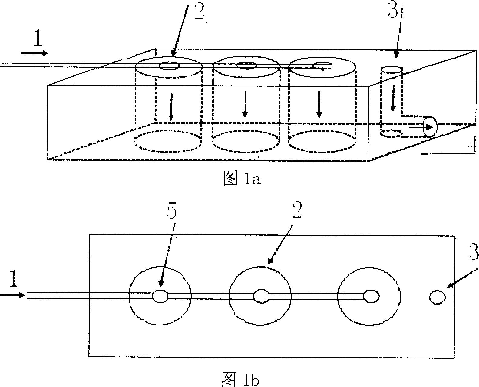 Method for breeding triploid monomer oyster in scale