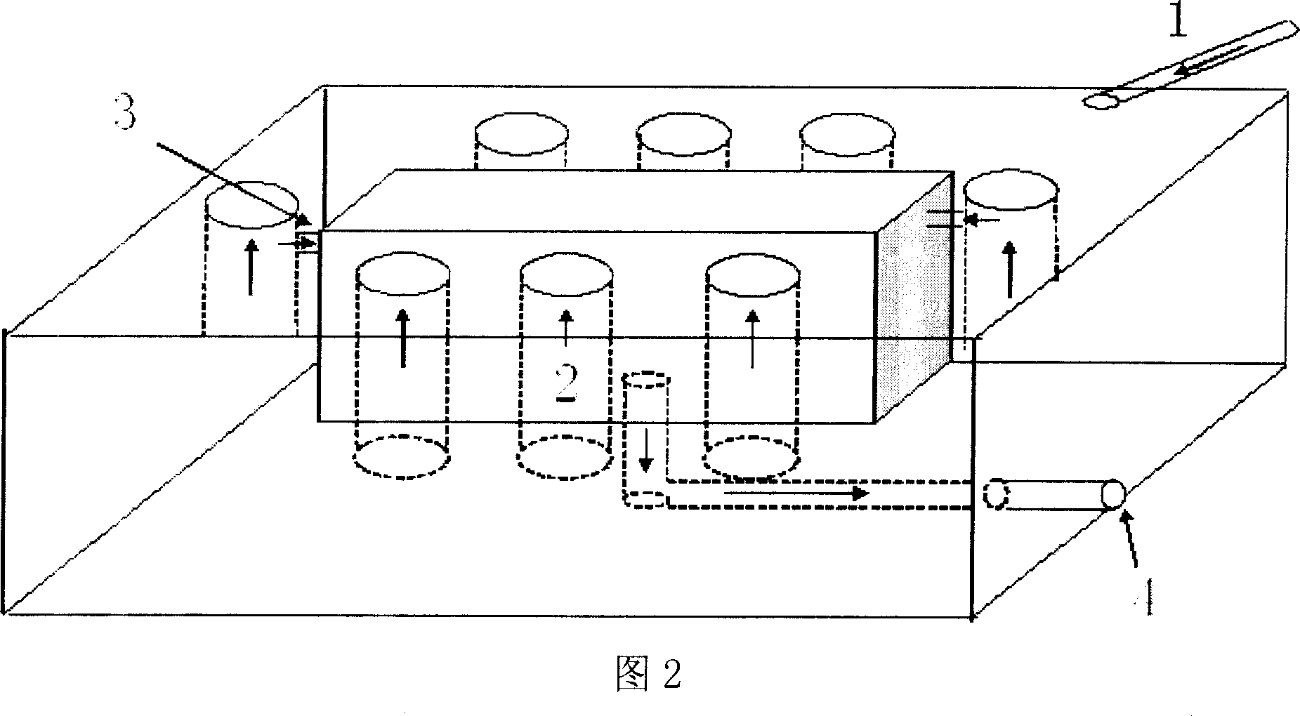 Method for breeding triploid monomer oyster in scale