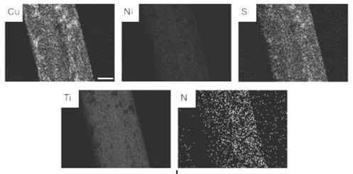 Memory alloy esophageal stent modified by nano copper sulfide coating and preparation method of memory alloy esophageal stent