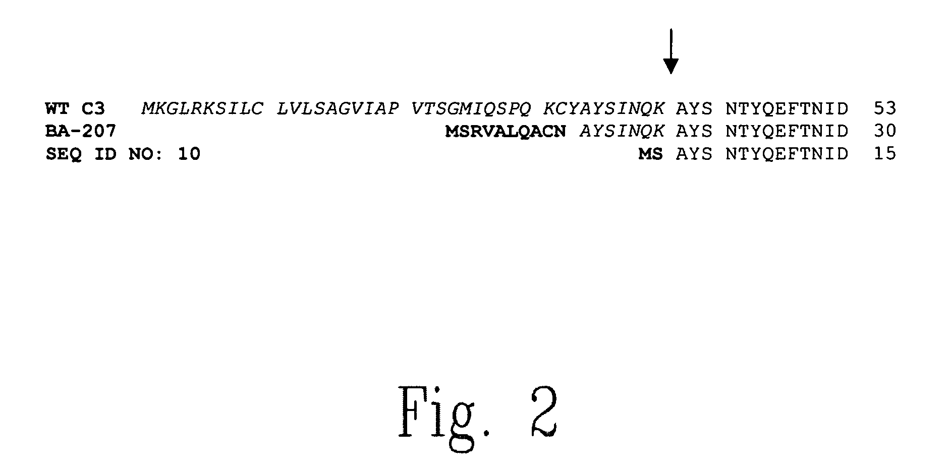 ADP-ribosyl transferase fusion variant proteins