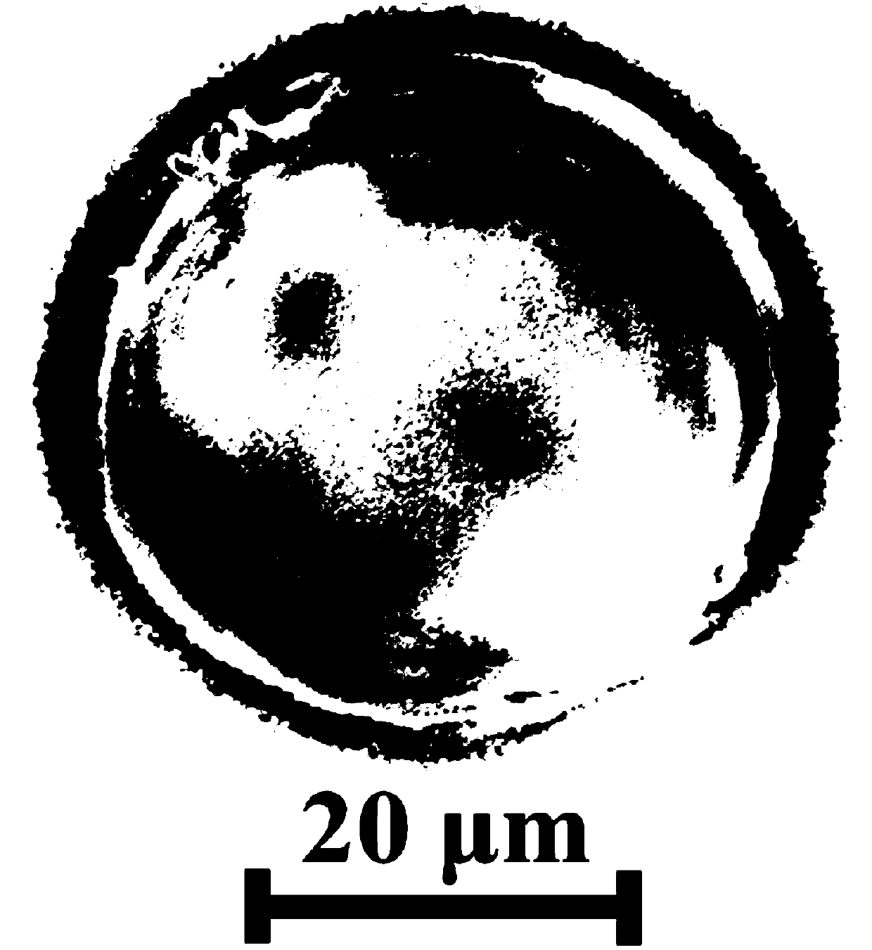 Polyurethane-coated hollow glass micro-bead toughened cast nylon 6 composite material and preparation method thereof