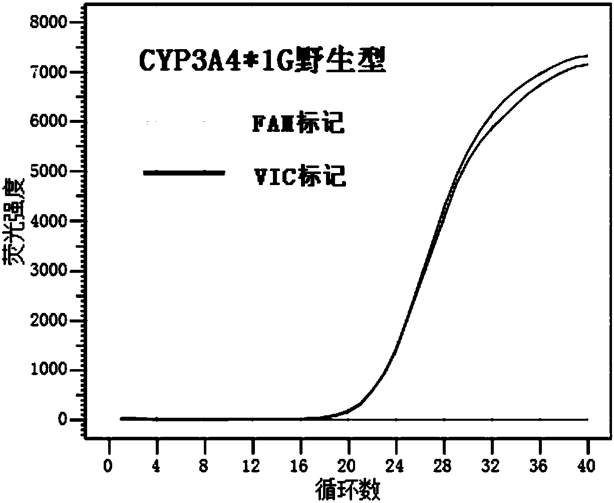 Primer pair, kit and method for detection of related genes for guiding individualized administration of fentanyl drugs