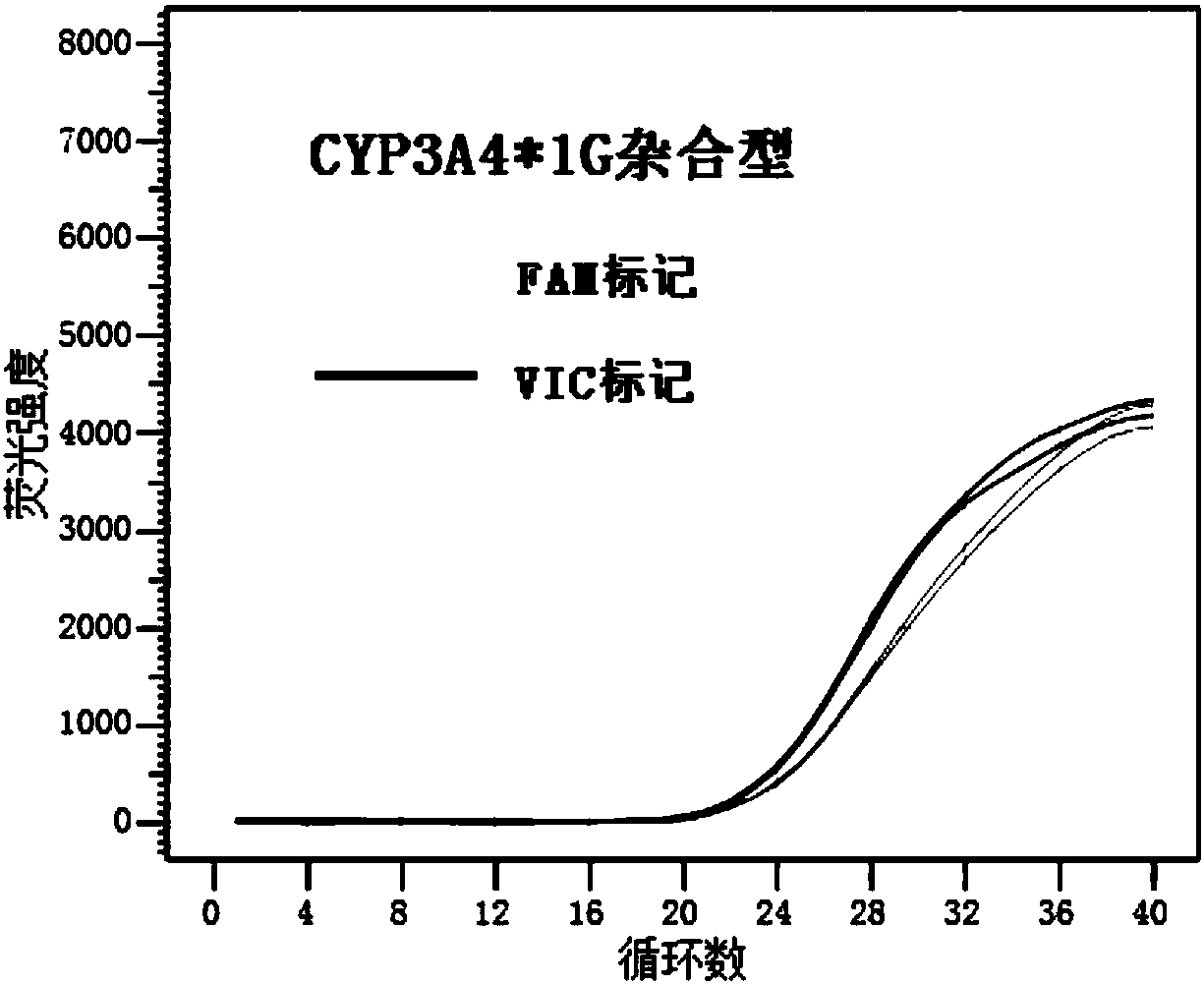 Primer pair, kit and method for detection of related genes for guiding individualized administration of fentanyl drugs