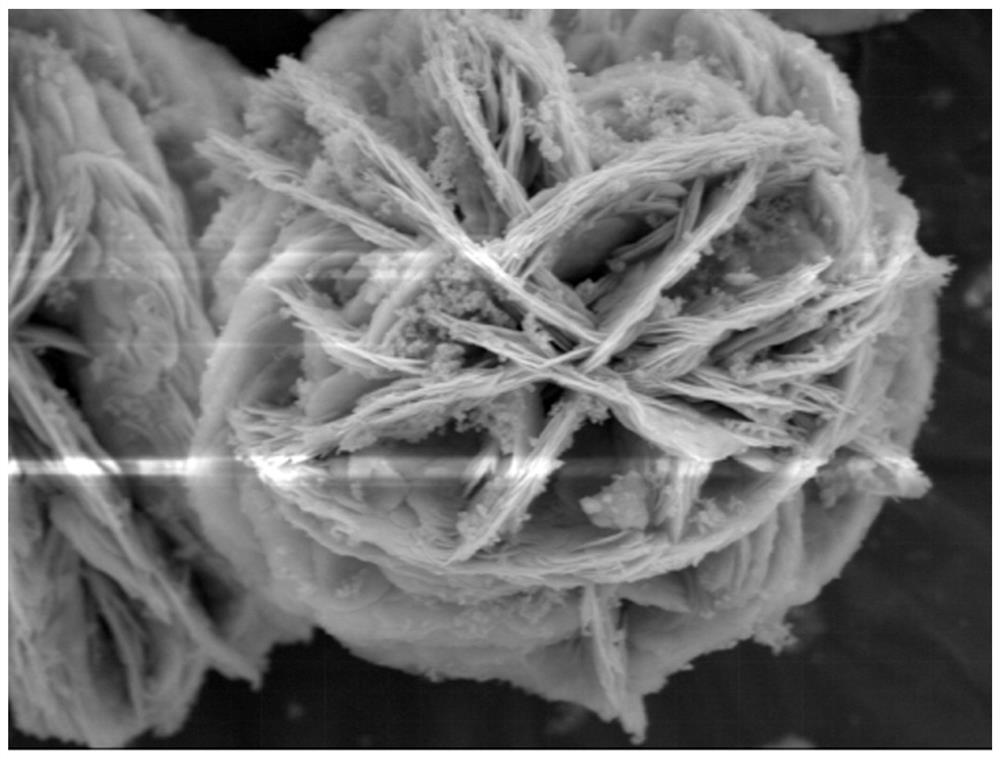 Preparation method of flower-ball-shaped ErBO3 photocatalyst composed of multiple lamellar petals