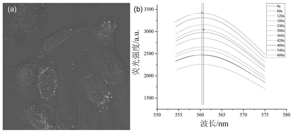 Method for measuring temperature change of organelle