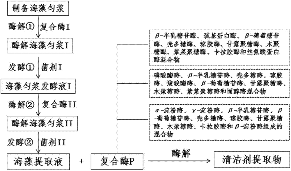 Cleaning agent and preparation method and application thereof