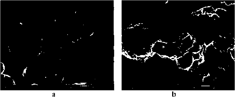 Modified flyash as well as preparation method and application thereof in urban sludge conditioning