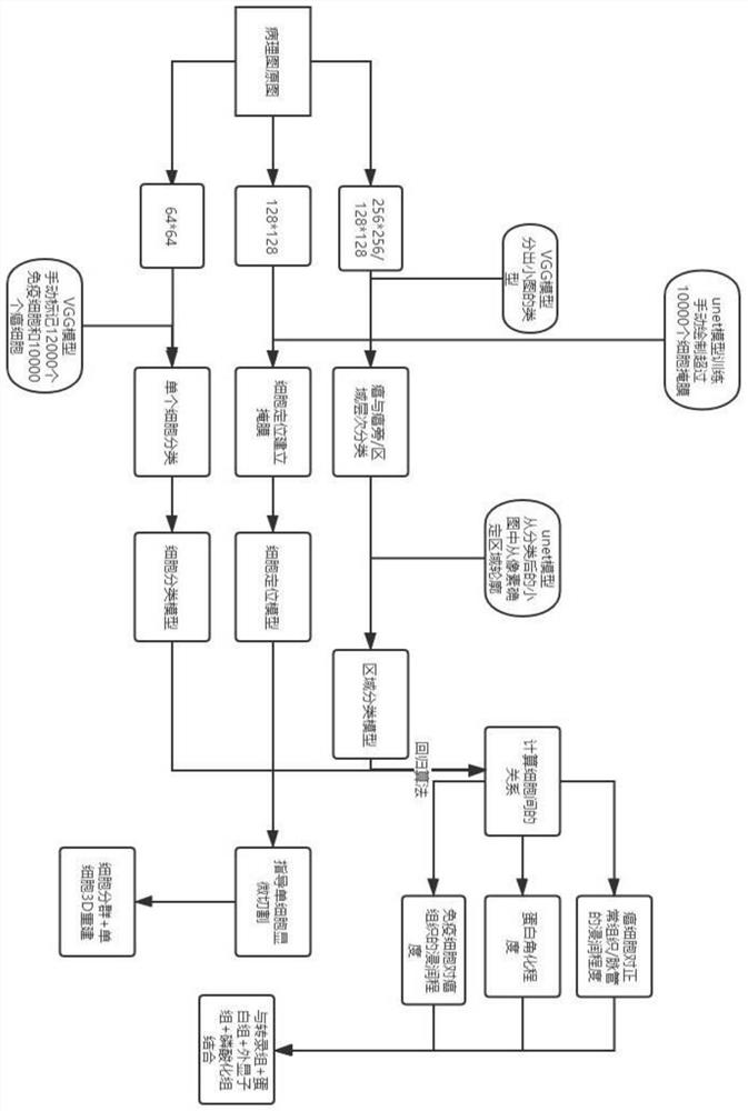 Automatic classification method and system for pathological diagrams of cell and region levels