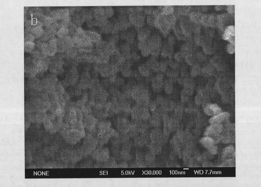 Palladium-doped nano titanium dioxide anti-bacterial agent and preparation method and application thereof