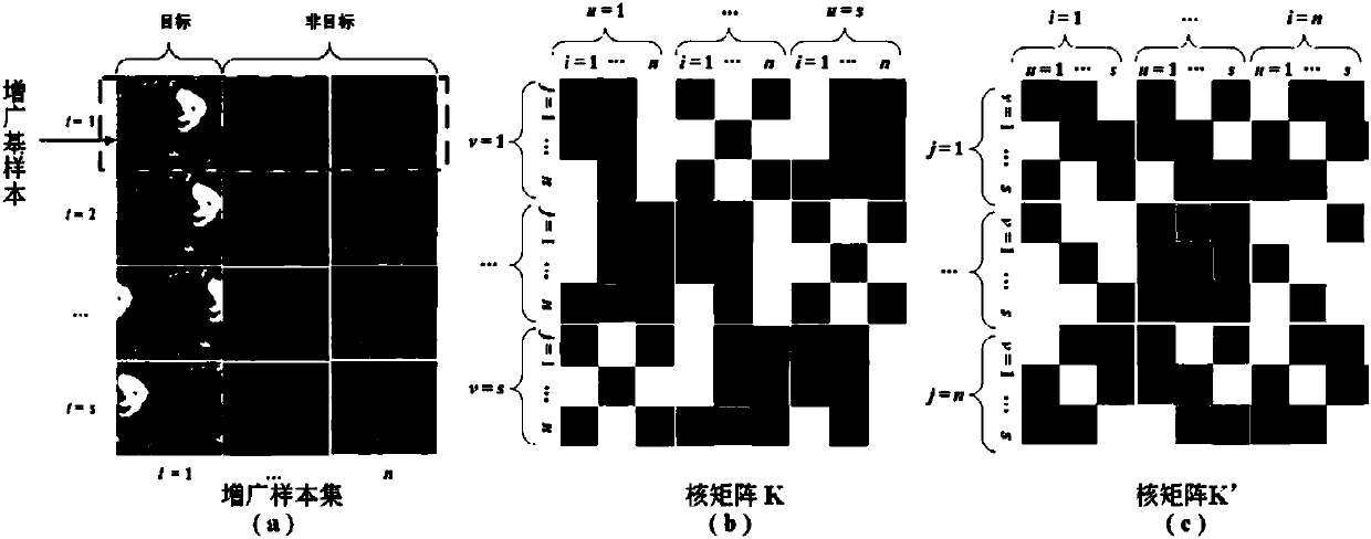 Augmented sample-based manifold regularization correlation filtering target tracking method