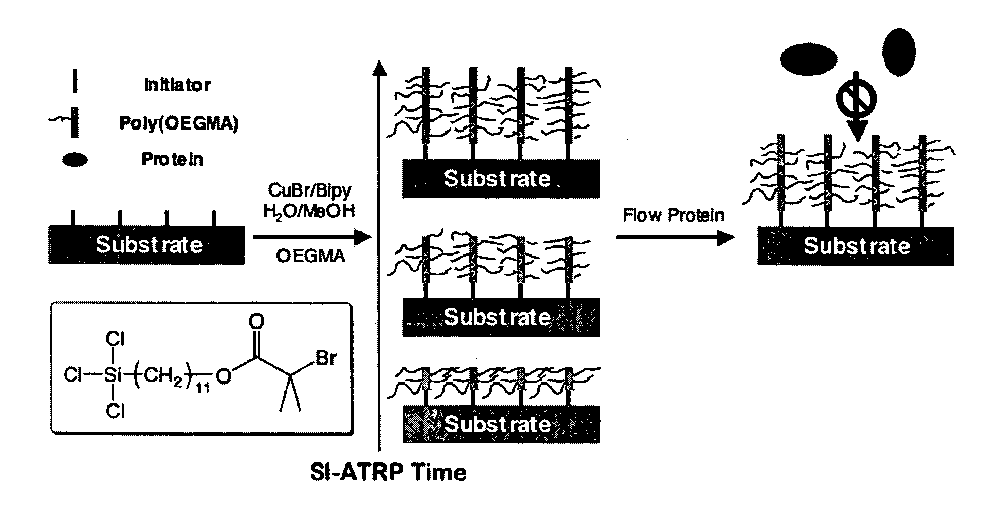 Non-fouling polymeric surface modification and signal amplification method for biomolecular detection