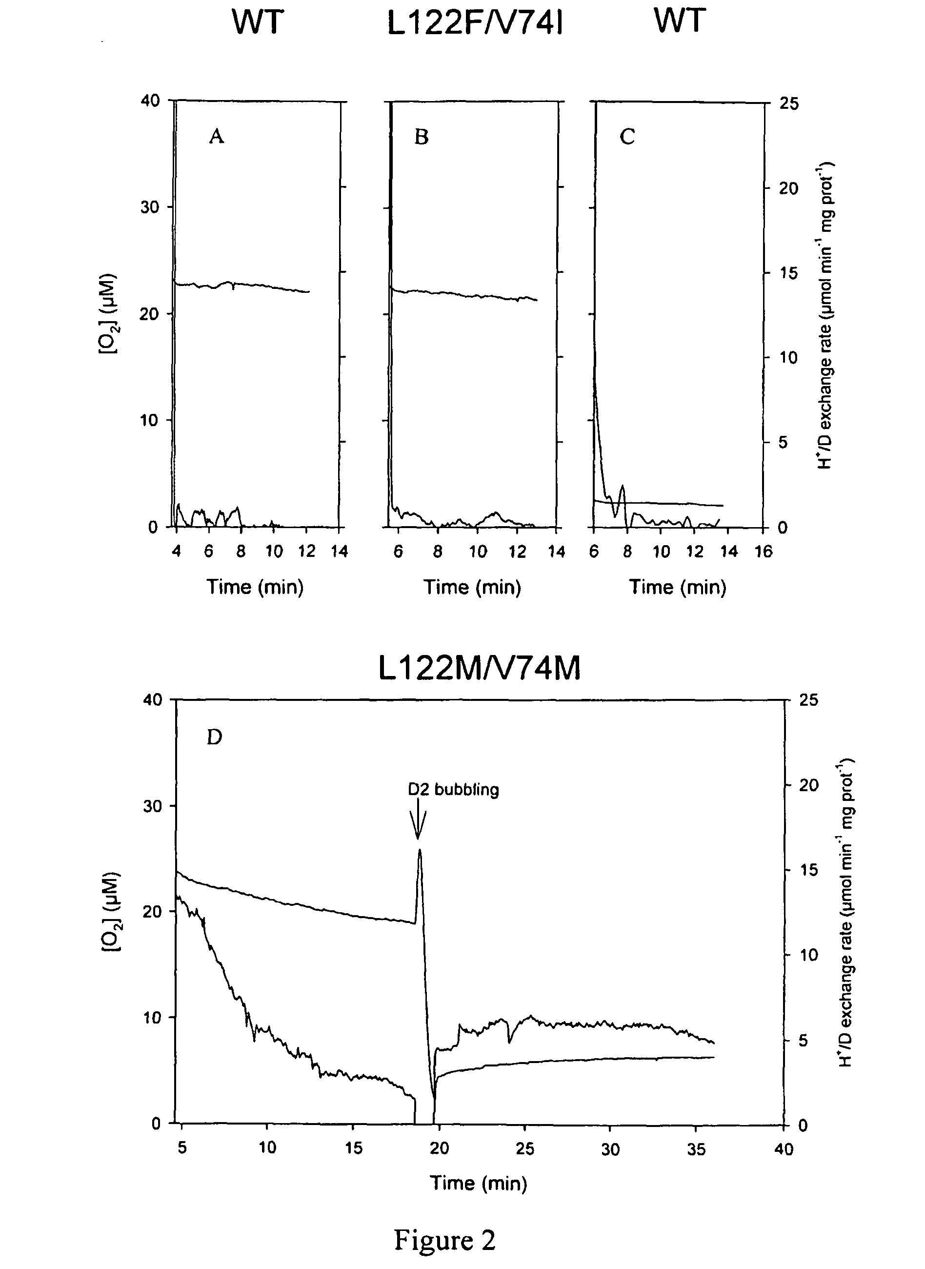 [NiFe]-hydrogenases having an improved resistance to dioxygen, process for obtaining them and their applications