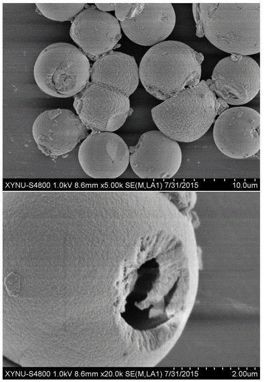 Electrochemical sensor for rapid trace detection on butyl p-hydroxybenzoate and preparation method of electrochemical sensor