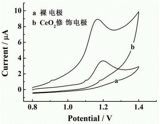 Electrochemical sensor for rapid trace detection on butyl p-hydroxybenzoate and preparation method of electrochemical sensor