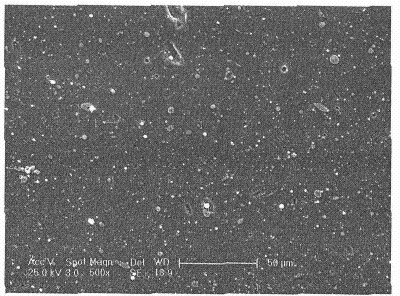 Last stage vane of steam turbine and preparation method thereof