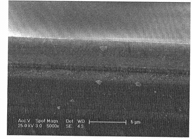 Last stage vane of steam turbine and preparation method thereof