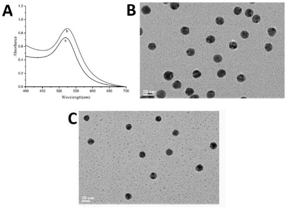 Aptamer sensor for self-assembly of DNA hydrogel based on rolling circle amplification product and application of aptamer sensor