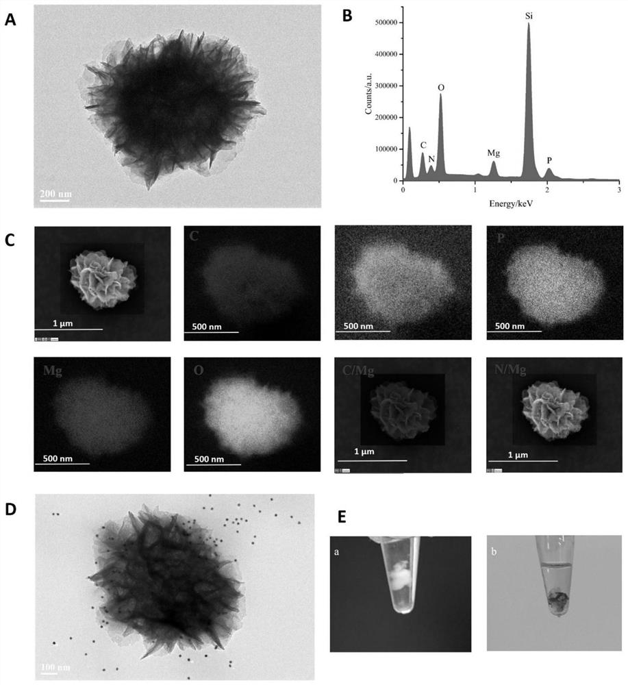 Aptamer sensor for self-assembly of DNA hydrogel based on rolling circle amplification product and application of aptamer sensor