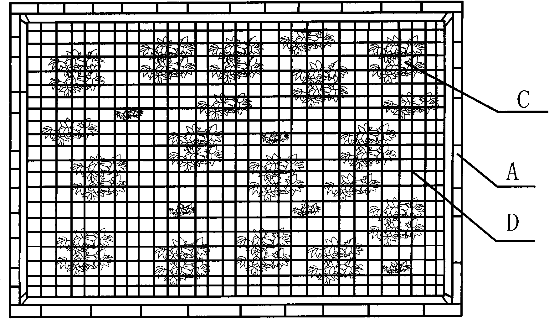 Lightweight detachable composite ecological floating island and constructing method thereof