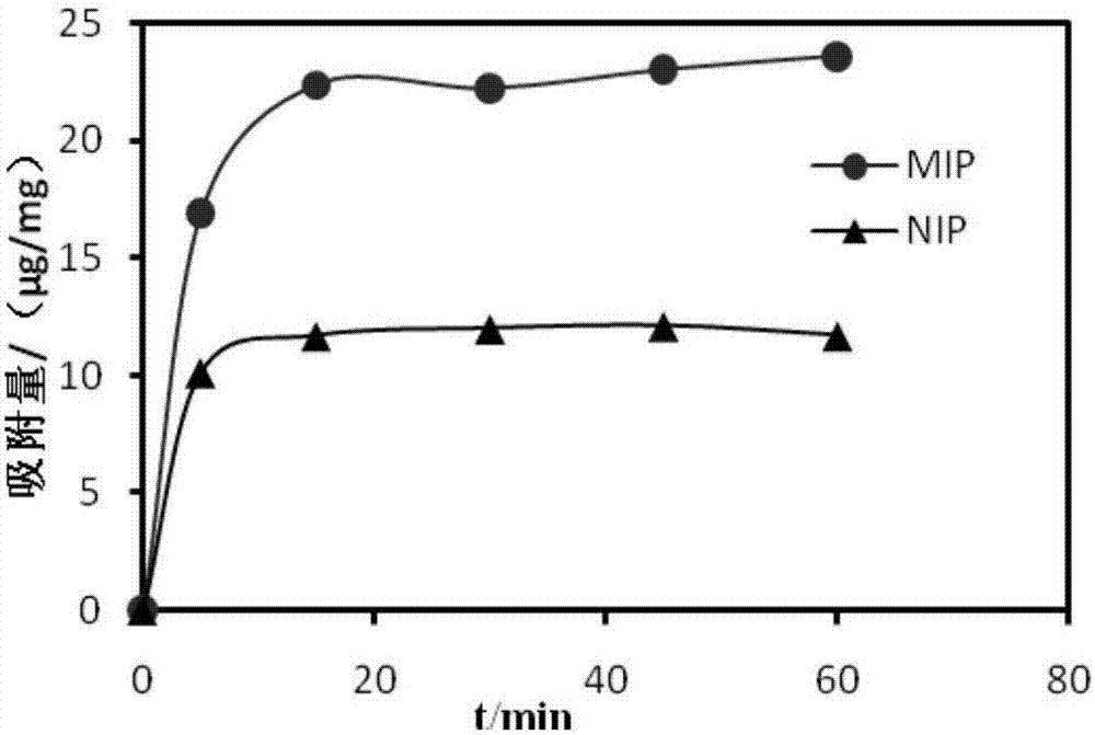 Core-shell type molecularly imprinted polymer capable of recognizing erythrosine and preparation method