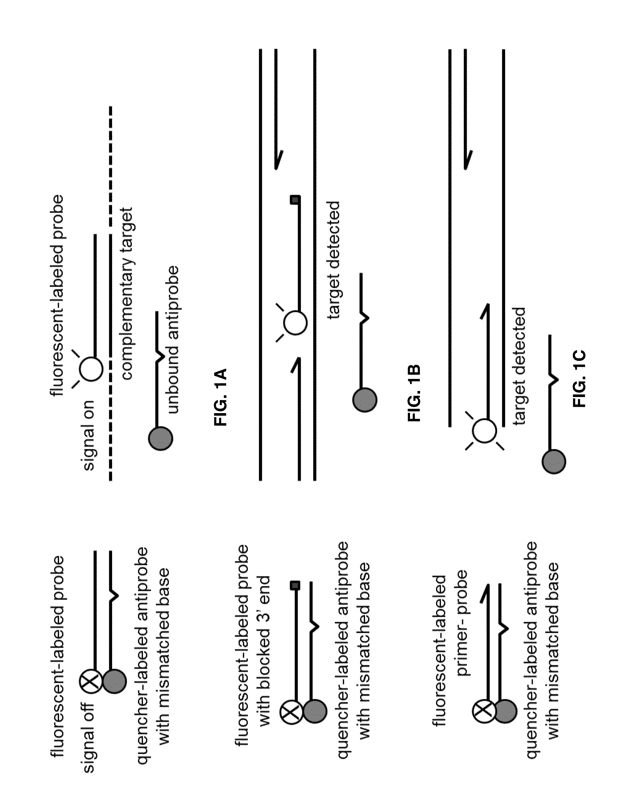 Probe:Antiprobe Compositions for High Specificity DNA or RNA Detection