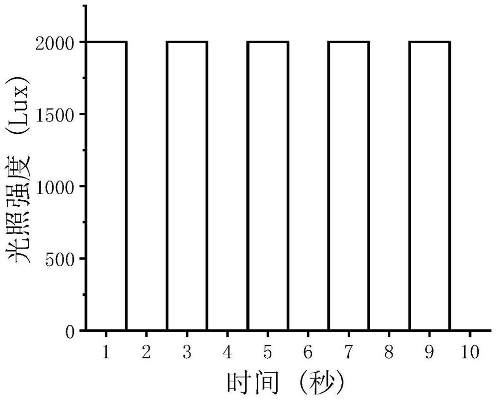 Microalgae large-scale culture method based on microalgae flash effect