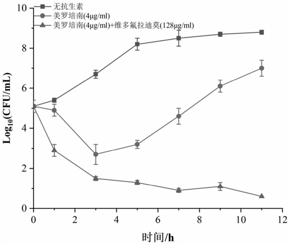 New application of Vidofludimus as NDM-1 inhibitor or antibiotic protective agent