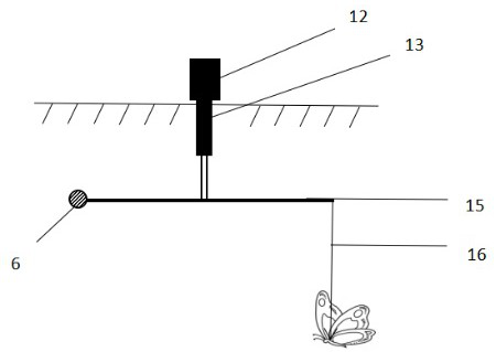 Insect motility activity rhythm and sleep behavior magnetic biological response research device