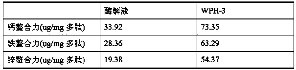 Preparation method of metal chelating protein hydrolytic peptide