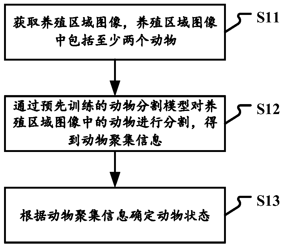 Animal state monitoring method and device, electronic equipment and storage medium