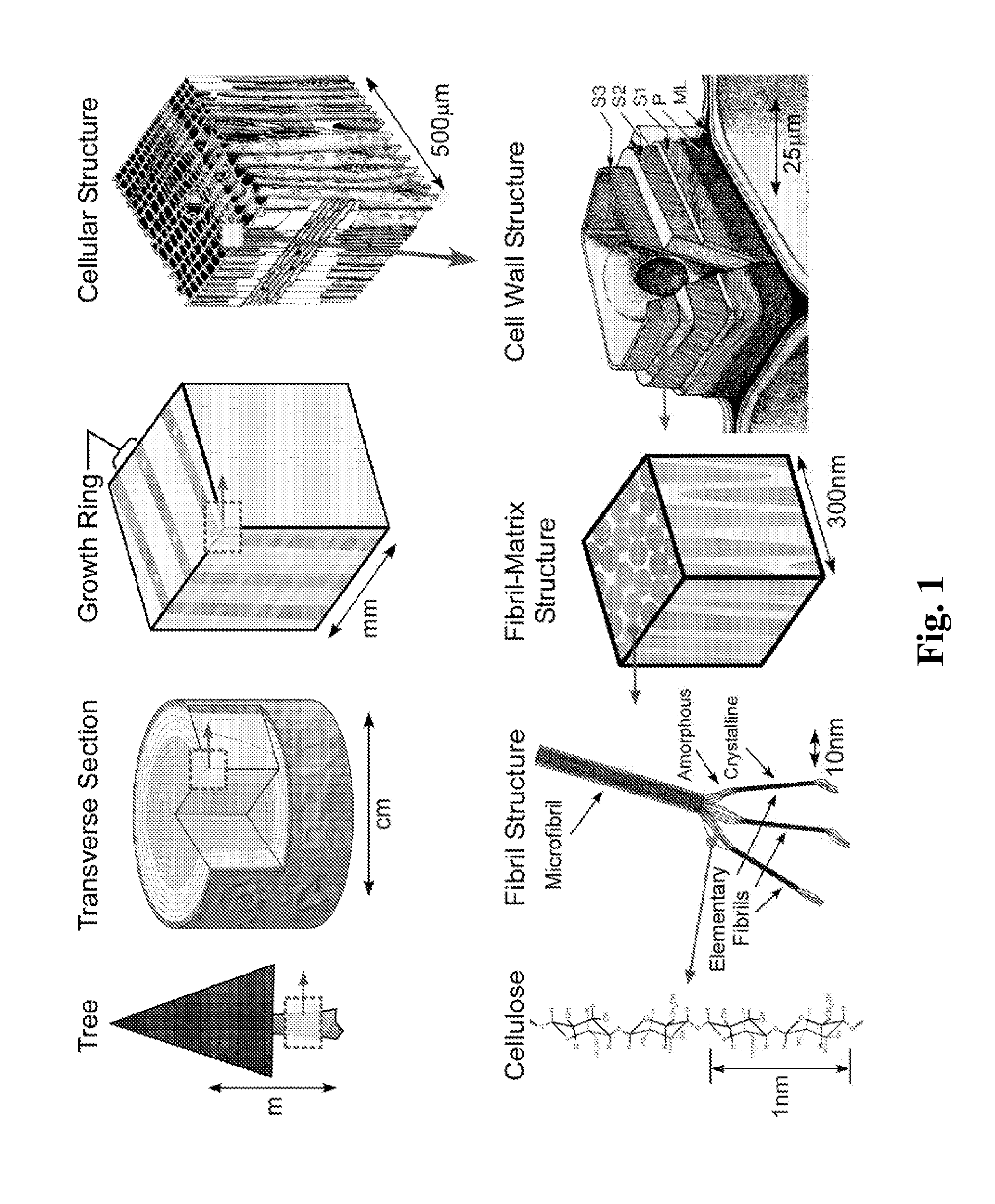 Energy Efficient Process for Preparing Nanocellulose Fibers