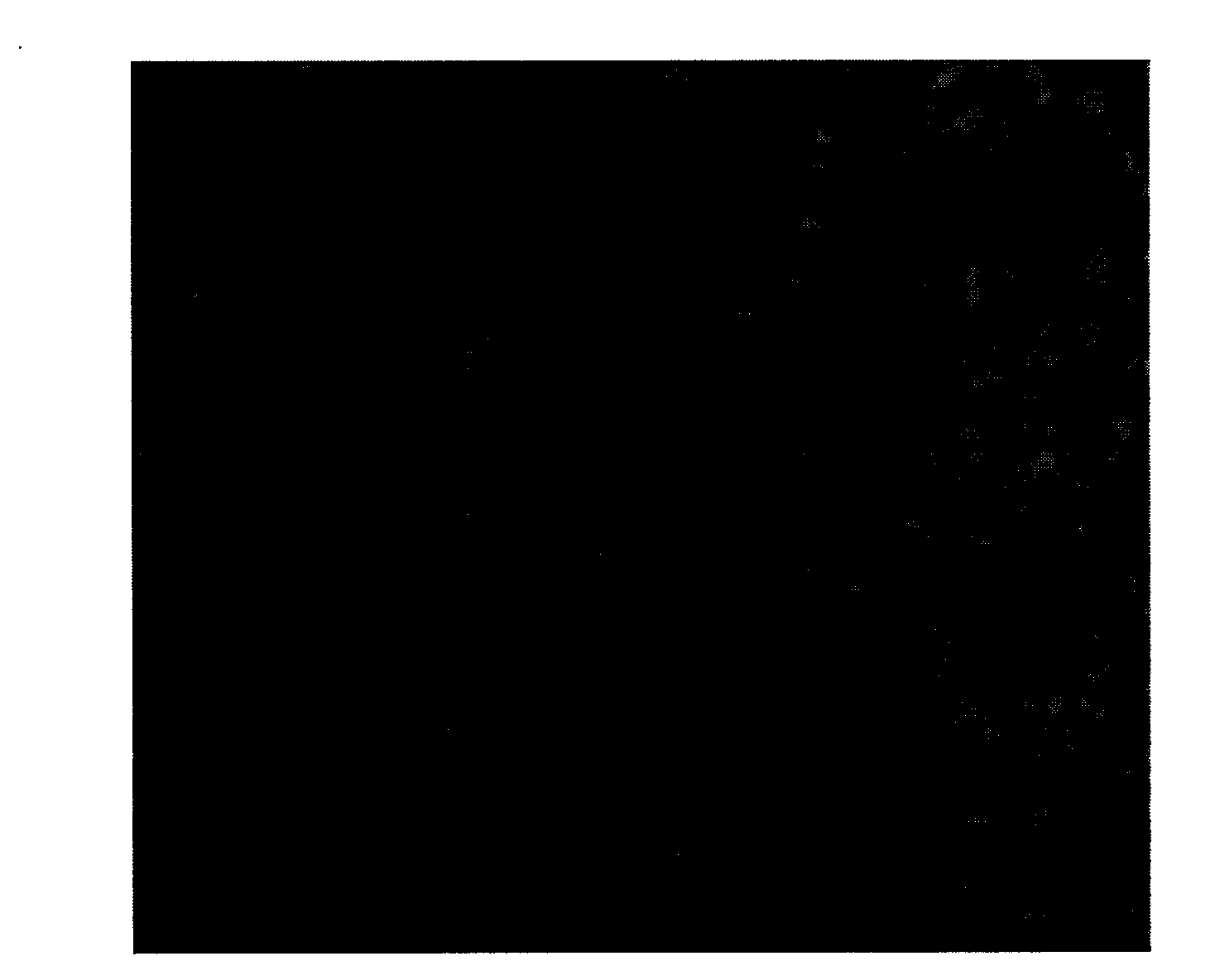 Specific combined polypeptide for lung cancer, preparation and uses thereof