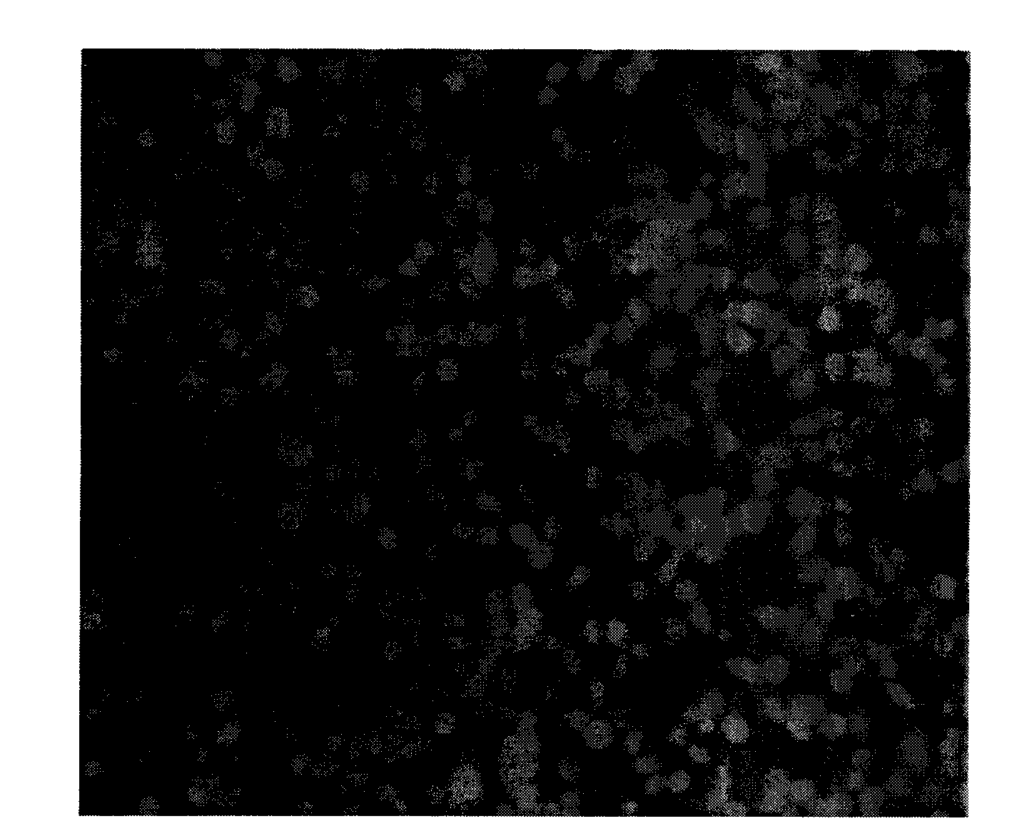 Specific combined polypeptide for lung cancer, preparation and uses thereof