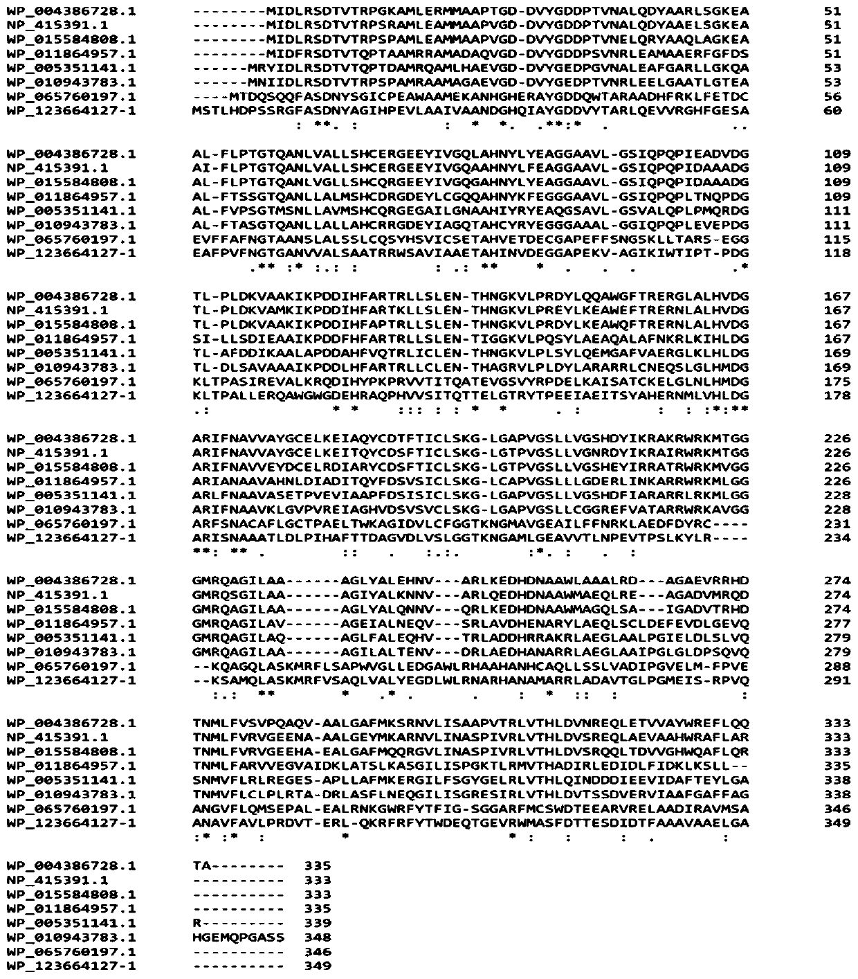 L-threonine aldolase and application of L-threonine aldolase to synthesis of methylsulfonylphenylserine