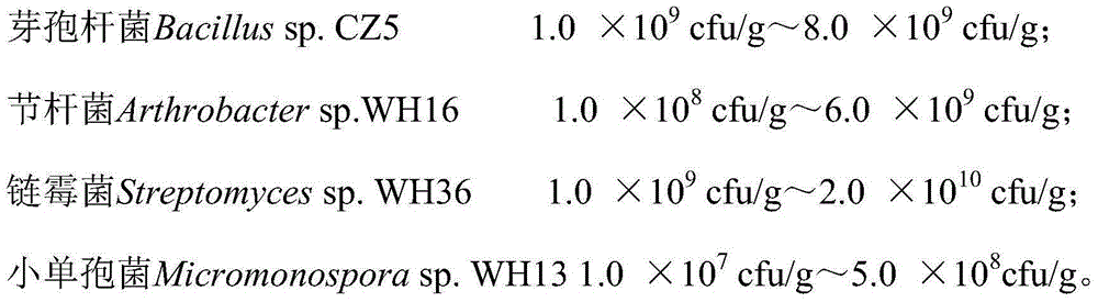 Compound bacterial agent applied to straw mulching and preparation method thereof