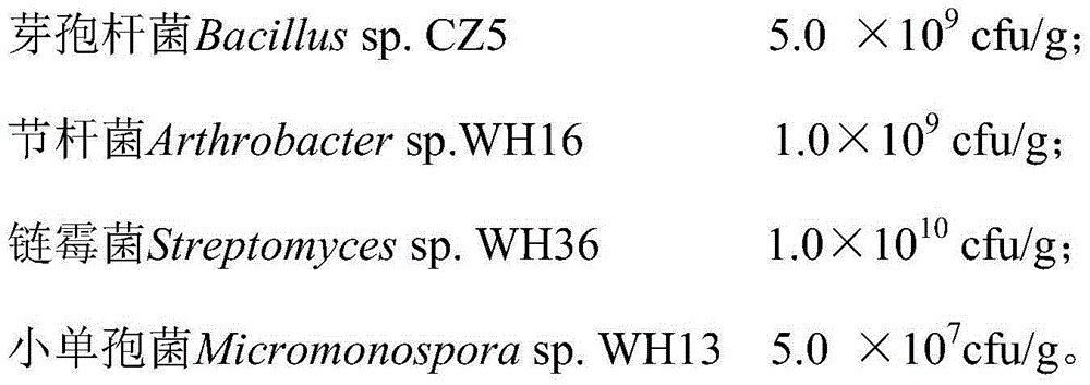 Compound bacterial agent applied to straw mulching and preparation method thereof