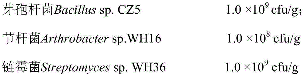 Compound bacterial agent applied to straw mulching and preparation method thereof