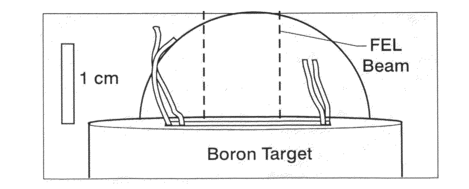 Boron nitride nanotubes